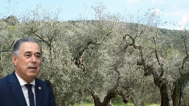 AŞIRI SICAKLAR ZEYTİNİ KURUTTU, MİLLETVEKİLİ ÖZCAN BAKAN'A SORDU!