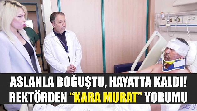 Aslanla Boğuştu, Hayatta Kaldı! Rektörden 'Kara Murat' Yorumu