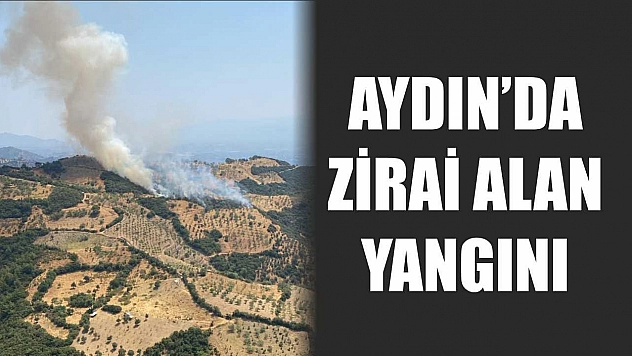 Aydın'da zirai alan yangını
