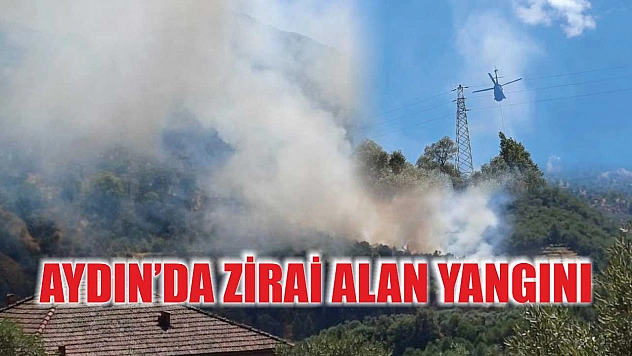 Aydın'da zirai alan yangını