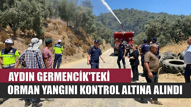Aydın Germencik'teki orman yangını kontrol altına alındı