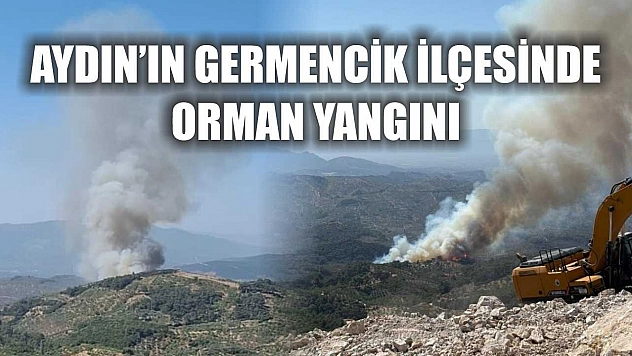 Aydın'ın Germencik İlçesinde Orman Yangını