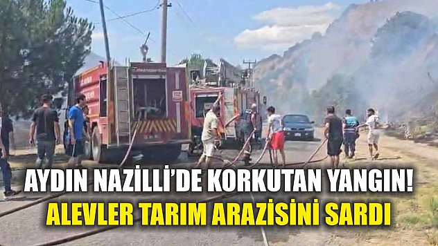 Aydın Nazilli'de Korkutan Yangın! Alevler Tarım Arazisini Sardı