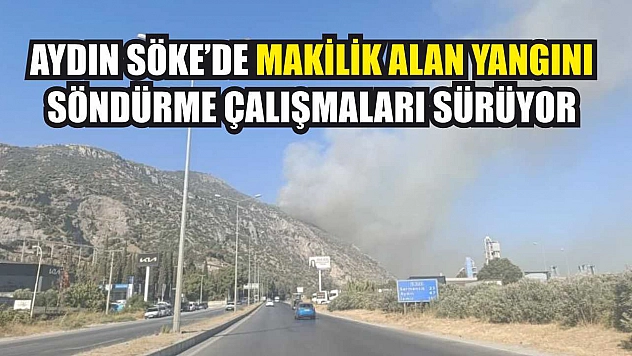 Aydın Söke'de makilik alan yangını, söndürme çalışmaları sürüyor
