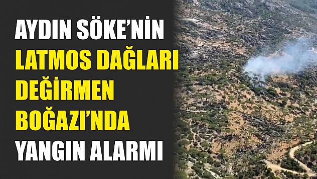 Aydın Söke'nin Latmos Dağları Değirmen Boğazı'nda yangın alarmı
