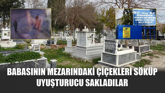 Babasının mezarındaki çiçekleri söküp uyuşturucu sakladılar