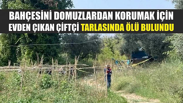 Bahçesini domuzlardan korumak için evden çıkan çiftçi tarlasında ölü bulundu