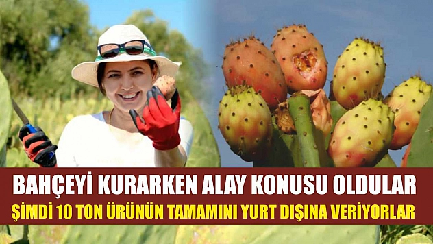 Bahçeyi kurarken alay konusu oldular, şimdi 10 ton ürünün tamamını yurt dışına veriyorlar