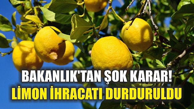 Bakanlık'tan şok karar! Limon İhracatı durduruldu