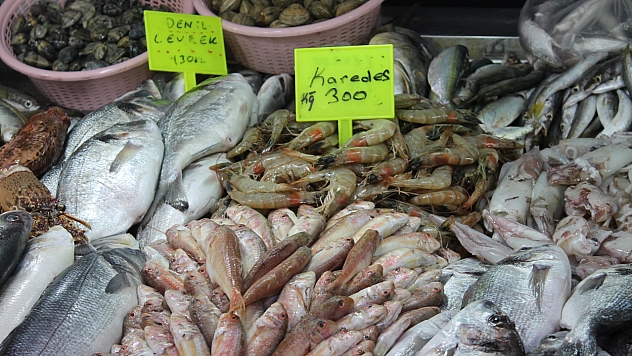 Balık fiyatları cep yakıyor