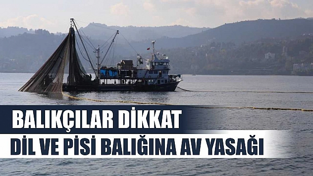 Balıkçılar Dikkat: Dil ve Pisi Balığına Av Yasağı