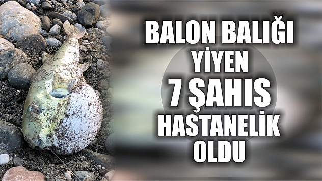 Balon balığı yiyen 7 şahıs hastanelik oldu