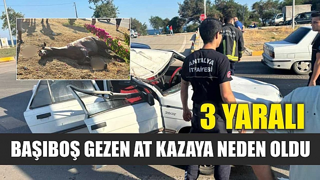 Başıboş gezen at kazaya neden oldu: 3 kişi yaralandı