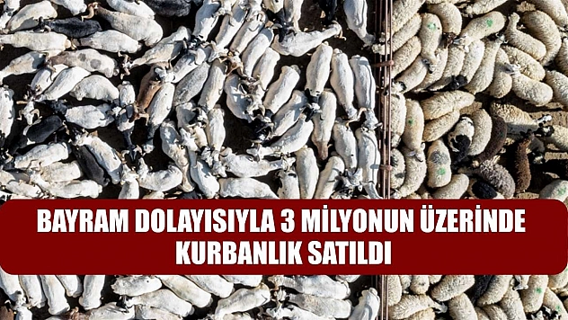Bayram dolayısıyla 3 milyonun üzerinde kurbanlık satıldı