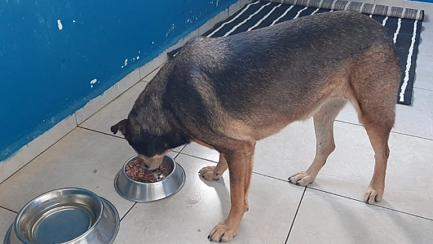 Belediye ekiplerinin gece mesaisi sürüyor