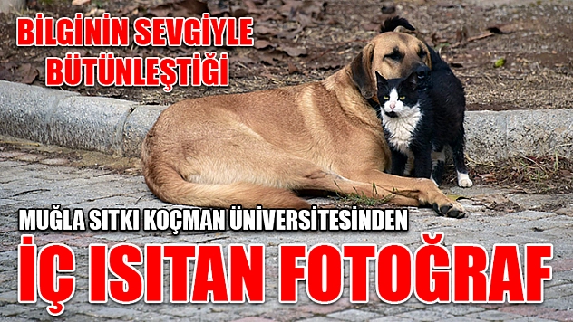 Bilginin sevgiyle bütünleştiği Muğla Sıtkı Koçman Üniversitesinden iç ısıtan fotoğraf