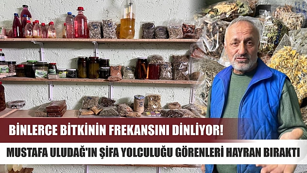 Binlerce bitkinin frekansını dinliyor! Mustafa Uludağ'ın şifa yolculuğu görenleri hayran bıraktı