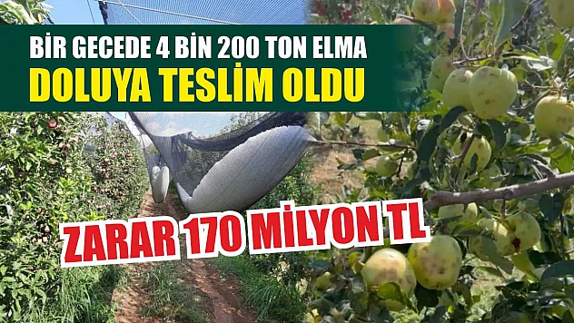 Bir gecede 4 bin 200 ton elma doluya teslim oldu, zarar 170 milyon TL