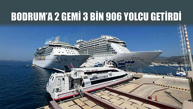 Bodrum'a 2 gemi 3 bin 906 yolcu getirdi