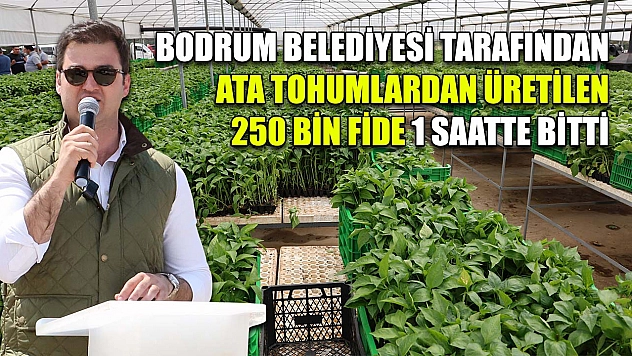 Bodrum Belediyesi tarafından ata tohumlardan üretilen 250 bin fide 1 saatte bitti