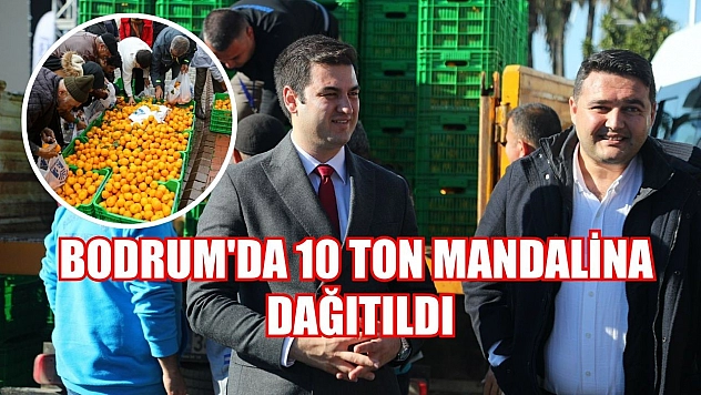 Bodrum'da 10 ton mandalina dağıtıldı
