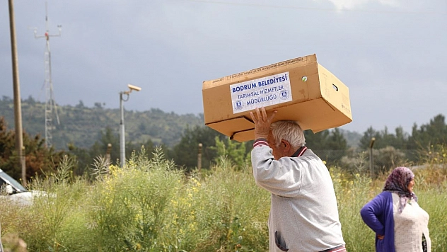 350 bin fide dağıtıldı