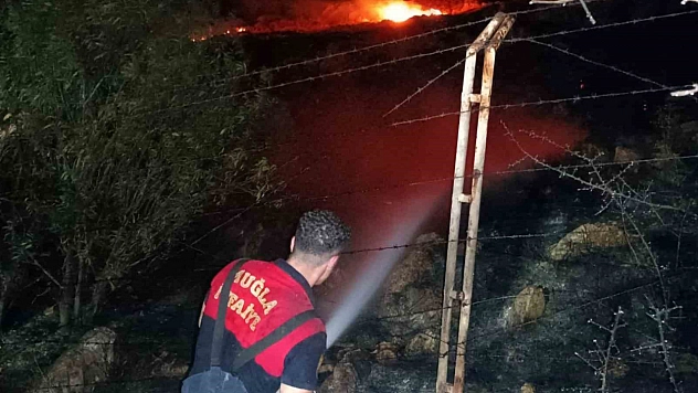 Makilik alanda çıkan yangın geceyi aydınlattı