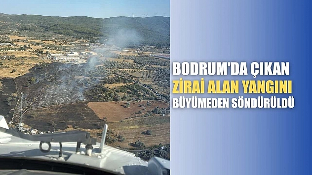Bodrum'da çıkan zirai alan yangını büyümeden söndürüldü
