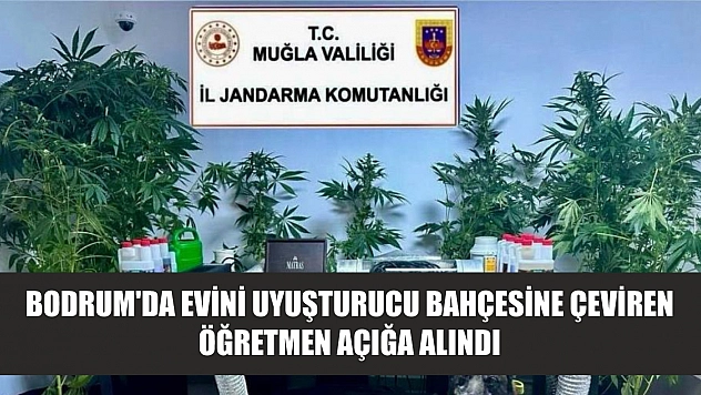Bodrum'da evini uyuşturucu bahçesine çeviren öğretmen açığa alındı