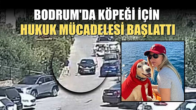 Bodrum'da köpeği için hukuk mücadelesi başlattı