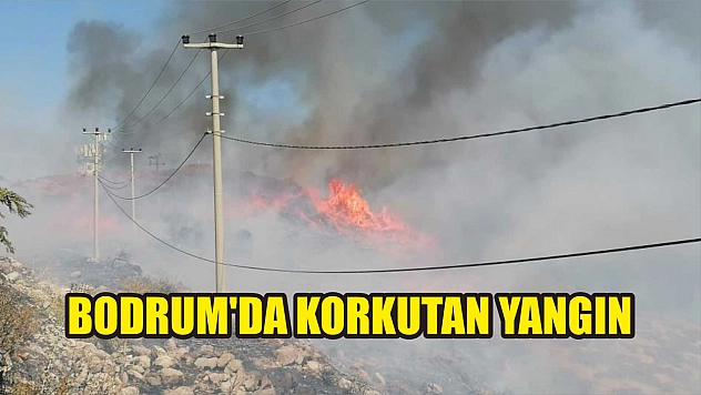 Bodrum'da korkutan yangın