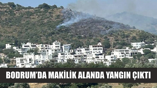 Bodrum'da makilik alanda yangın çıktı