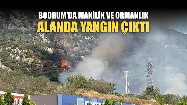 Bodrum'da makilik ve ormanlık alanda yangın çıktı