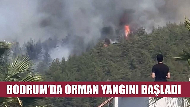 Bodrum'da orman yangını başladı