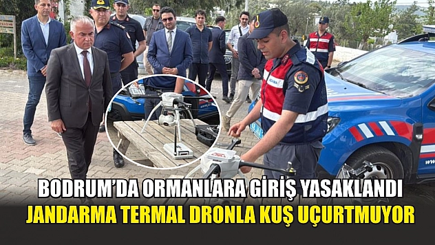 Bodrum'da ormanlara giriş yasaklandı, jandarma termal dronla kuş uçurtmuyor