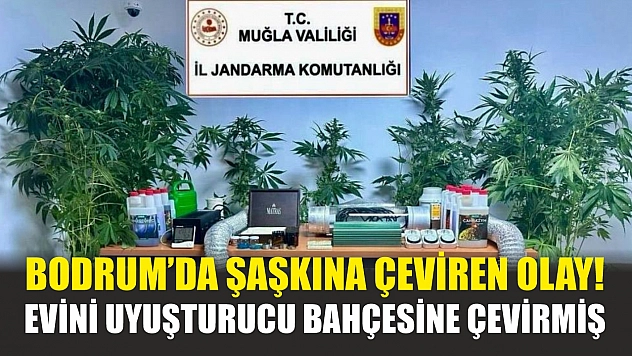 Bodrum'da şaşkına çeviren olay! Evini uyuşturucu bahçesine çevirmiş