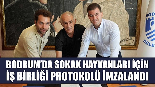 Bodrum'da Sokak Hayvanları İçin İş Birliği Protokolü İmzalandı