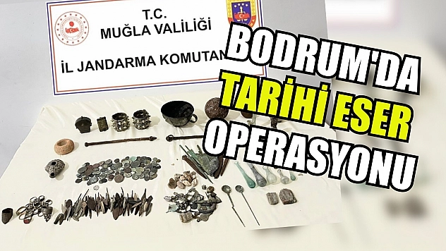 Bodrum'da tarihi eser operasyonu