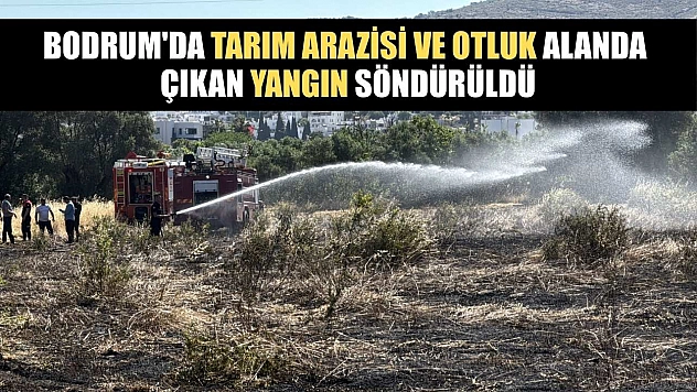 Bodrum'da tarım arazisi ve otluk alanda çıkan yangın söndürüldü