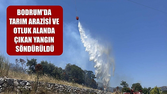 Bodrum'da tarım arazisi ve otluk alanda çıkan yangın söndürüldü