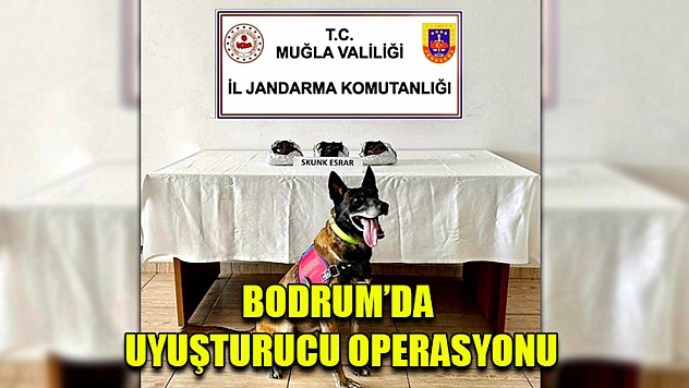 Bodrum'da Uyuşturucu Operasyonu