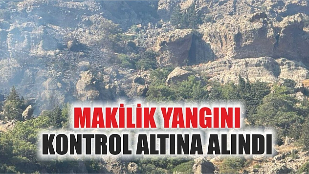 Bodrum'daki makilik yangını kontrol altına alındı