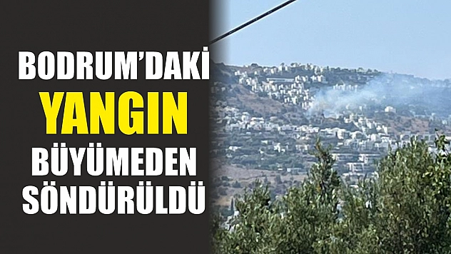Bodrum'daki yangın büyümeden söndürüldü