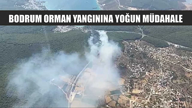 Bodrum orman yangınına yoğun müdahale