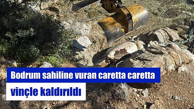 Bodrum sahiline vuran caretta caretta vinçle kaldırıldı
