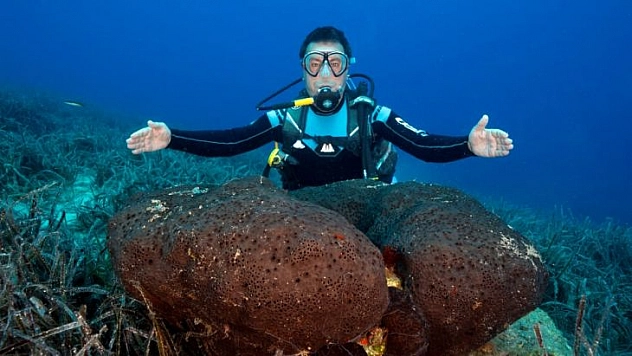 BODRUM'UN SUALTI ZENGİNLİKLERİ BELGESEL OLUYOR  
