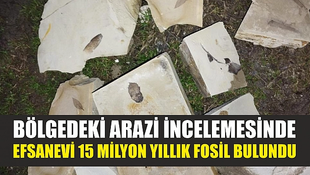 Bölgedeki arazi incelemesinde efsanevi 15 milyon yıllık fosil bulundu