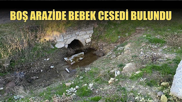Boş arazide bebek cesedi bulundu