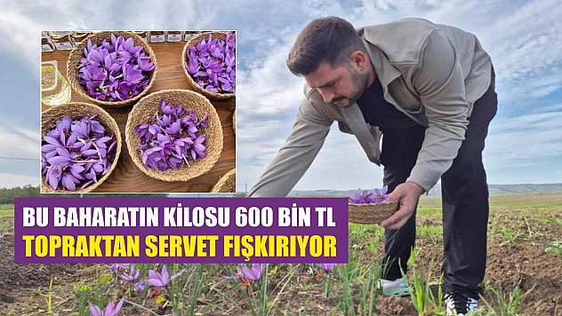 Bu baharatın kilosu 600 bin TL: Topraktan servet fışkırıyor