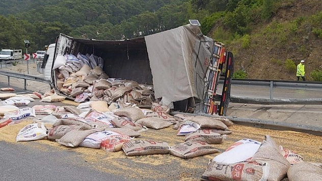 Buğday yüklü tır şarampole devrildi